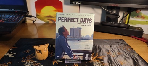 Perfect days koji - days,