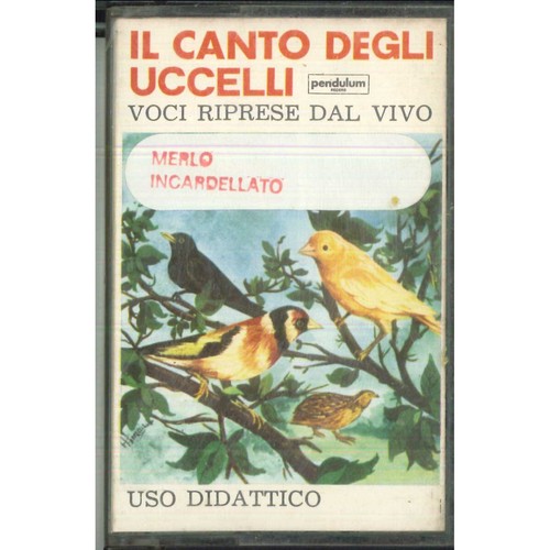 Canto degli uccelli mc7 - il,