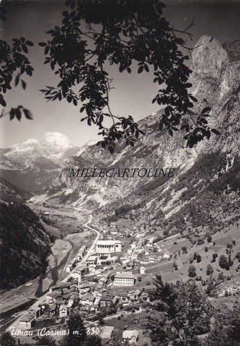Timau panorama 1972 - ,