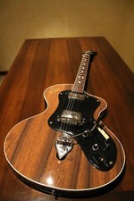 Chitarra Beta Polyphon Wandre