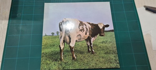 Pink floyd atom - pink, mother