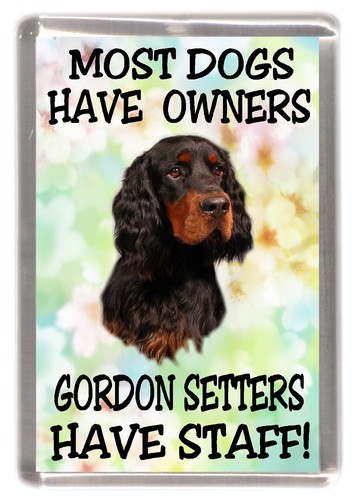 Calamita frigo per cani - , gordon