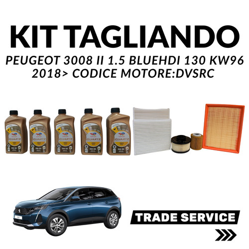 Kit tagliando peugeot - ,