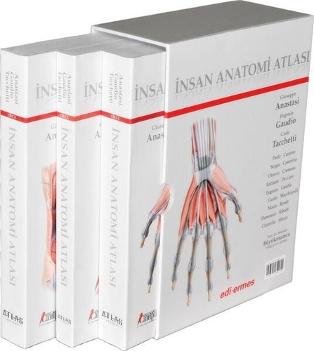 Nsan anatomi atlası 3 - İnsan, (3