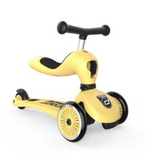 MONOPATTINO EVOLUTIVO E