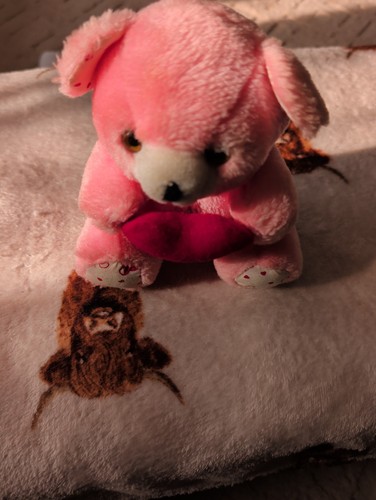 Peluche orsacchiotto cuore