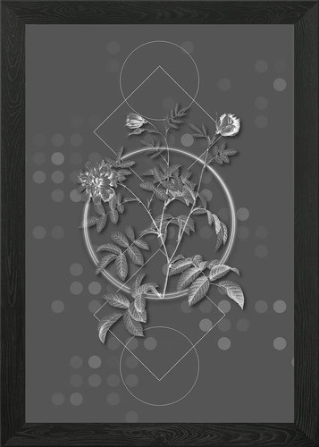Quadro stampa tela poster - quadro,