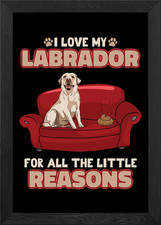 Labrador Retriever cucciolo