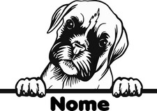 decalcomania sticker cane