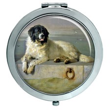 Cane Terranova Da Landseer