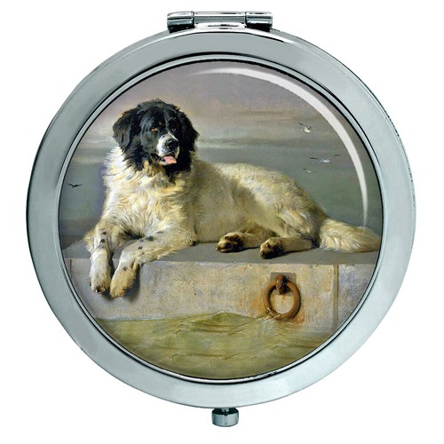 Cane terranova landseer - terranova,