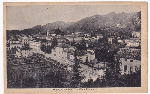 P05259 cartolina vittorio - p05259,