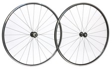Campagnolo Proton Alloy