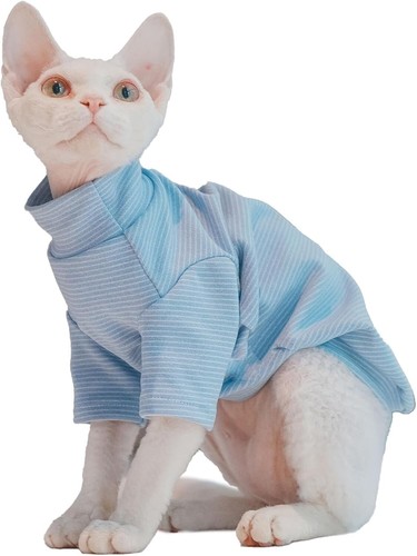 Sphynx gatto camicia - , calda