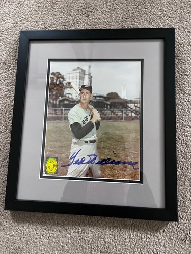 Ted williams firmato - firmato, 8