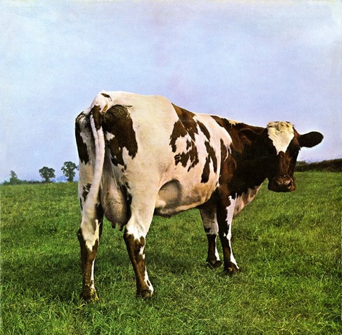 Pink floyd atom - floyd,