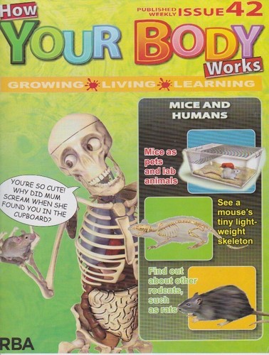 How your body works issue - how,