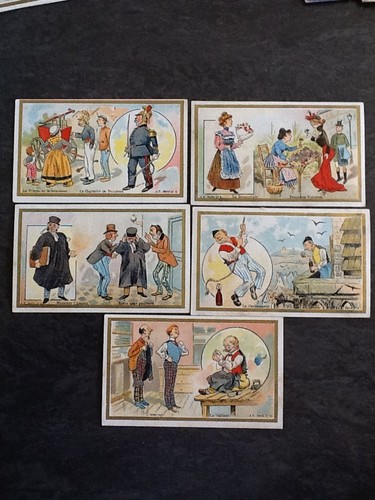 Lot chromos chicoree - 5,