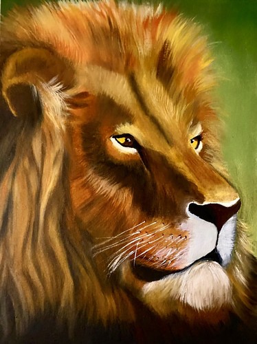 Quadro leone 16x12 - leone, volto