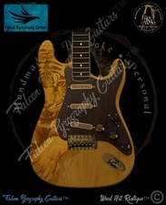 Chitarra elettrica tiger - chitarra,