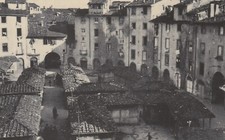 CARTOLINA *23 LUCCA PIAZZA