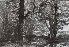 Acqueforti originali - acqueforti,