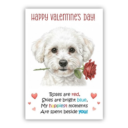 Biglietto san valentino - san,