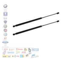 COPPIA 2 MOLLA A GAS COFANO