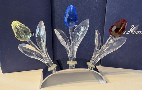 Swarovski crystal scs renewal - swarovski,