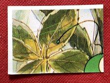 L'APEMAIA n. 102 Ed. Panini (1980) Figurina Sticker Album Ape Maia (NEW)