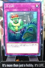 Sveglia il Drago Yu-Gi-Oh