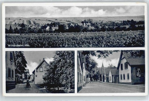 50406054 6521 wintersheim - -,