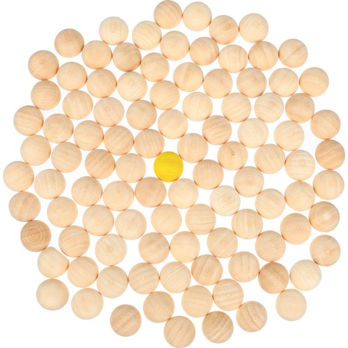 100 pcs progetti - progetti, fai