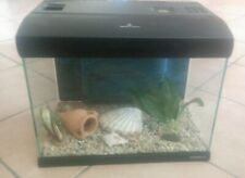 Acquario per pesci piccolo 30 litri 30L