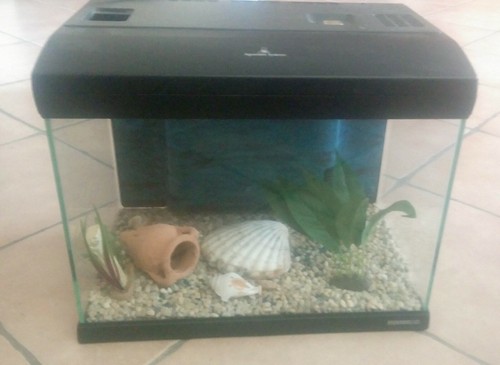 Acquario per pesci - , 30