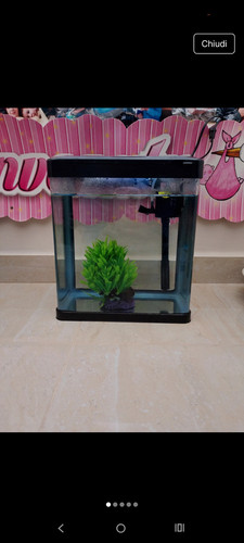 Acquario completo pompa - completo,