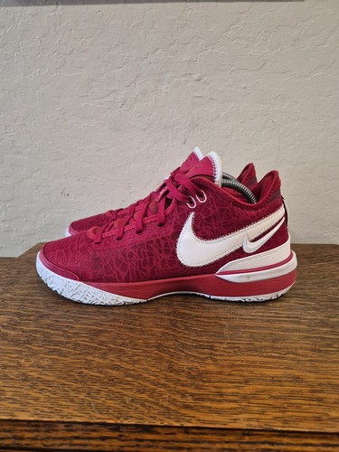 Nike zoom lebron nxxt gen - zoom,