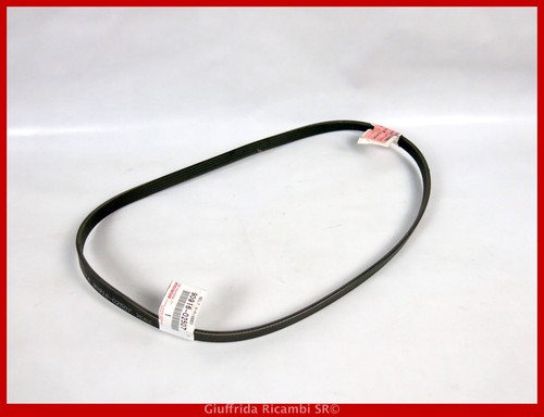 Cinghia servizi poly - poly-v, toyota