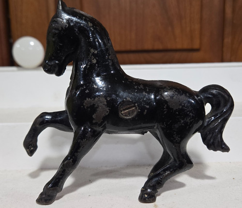 Antico banco monete cavallo