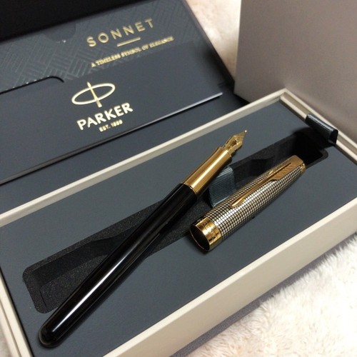 Penna stilografica parker - penna,