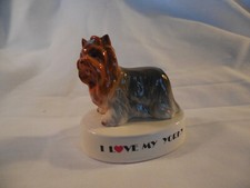 George Good I love my Yorky