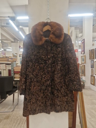 Pelliccia persiano marrone - pelliccia, di