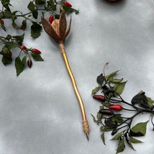 Penna da scrittura streghe