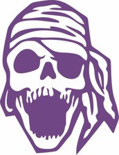 Tuareg Teschio  Stikers-Adesivo Prespaziato decorazioni stampe auto moto casa