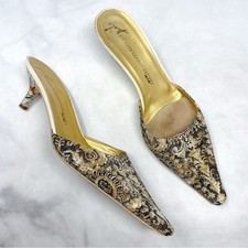 Giuseppe Zanotti Vicini