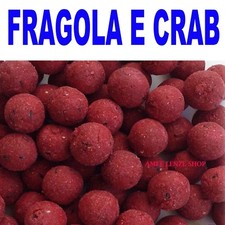 boilies carpfishing pastura