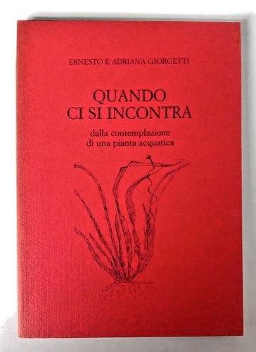 Quando incontra - quando, ci