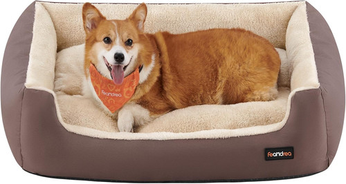 Cuccia cane interno - cane,
