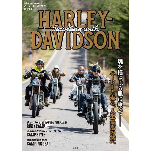 Harley davidson special - harley-davidson,