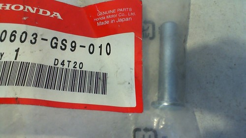 Perno pedana dominator honda - perno,